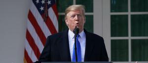 Donald Trump bekommt ausnahmsweise Unterstützung von Linken und Grünen.