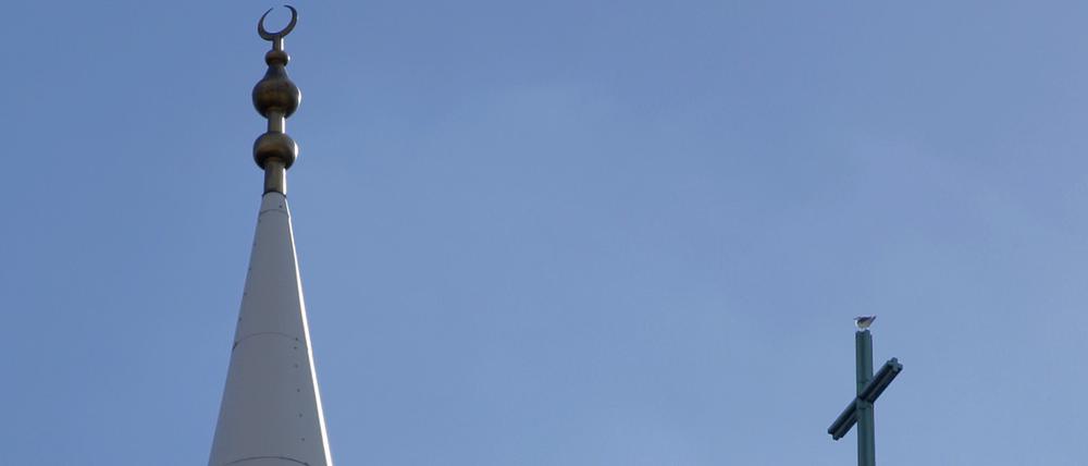 Der Splitter in deines Bruders Auge.