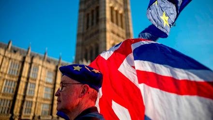 Ein Brexit-Gegner vor dem Parlament in London.