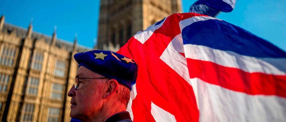 Ein Brexit-Gegner vor dem Parlament in London.