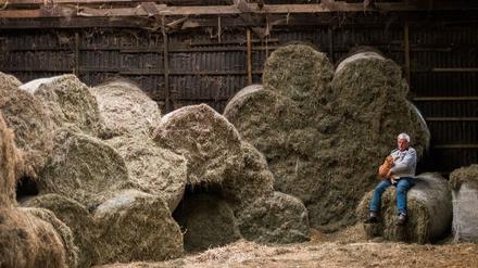 Bauer Hans-Hermann Ropers in einer seiner Scheune auf und vor Heuballen.