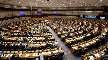 Ende Mai wird ein neues Europaparlament gewählt. Bis April geht das Praktikum der Tochter des Putin-Sprechers.