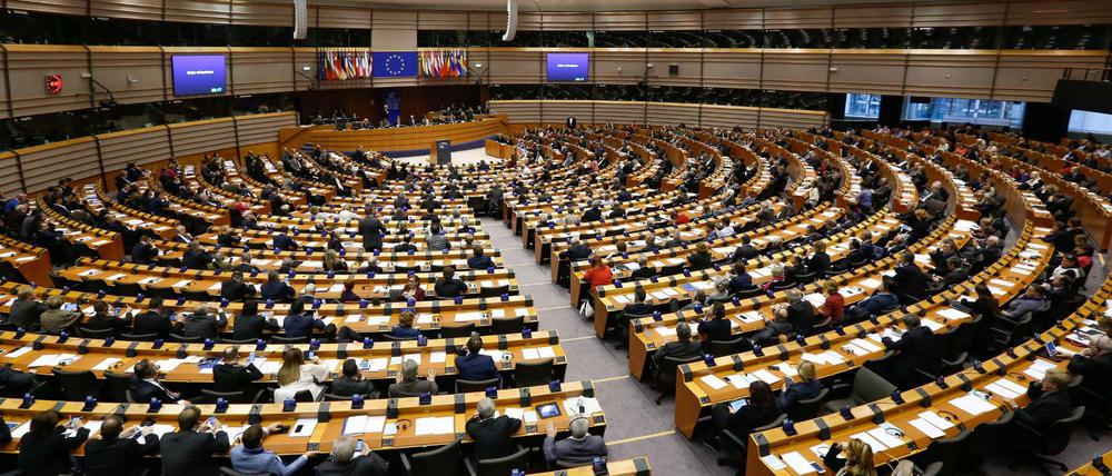 Ende Mai wird ein neues Europaparlament gewählt. Bis April geht das Praktikum der Tochter des Putin-Sprechers.