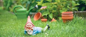 Grüne Reserve: Auf einigen Kleingärten könnten bald Schulen oder Krankenhäuser stehen.