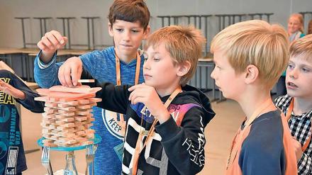 Die Kunst des Nestbaus: Im Rahmen der SchülerUni lernen Kinder etwa, wie Störche ihre Horste bauen. Holzstücke ersetzen dabei Zweige und Federn. 