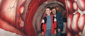 Zwischen Zotten und Krypten: Bei der Langen Nacht der Wissenschaften lädt ein begehbares Darm-Modell ins Innere des Organs ein.