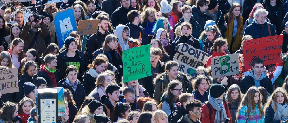 Schüler demonstrieren am Freitag, 22. Februar, im Invalidenpark in Berlin für den Klimaschutz.