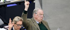 Die Vorsitzenden der AfD-Bundestagsfraktion, Alice Weidel und Alexander Gauland, bei einer Abstimmung im Bundestag. 