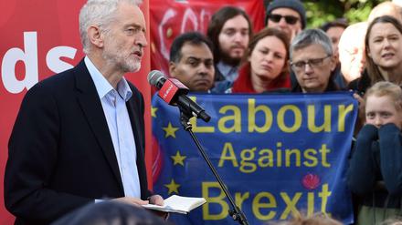 Mogelpackung: Nur ein kleiner Teil der Labour-Abgeordneten ist gegen den Brexit. Die Mehrzahl kommt aus Wahlbezirken, die für den Austritt aus der EU gestimmt haben.