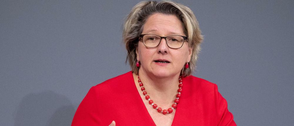 Svenja Schulze spricht im Bundestag über den Bundeshaushalt 2019.