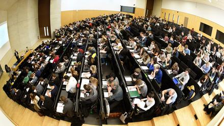 Im Fokus: Die Noten von Studierenden ohne Abi liegen nur um ein Zehntel unter denen der Kommilitonen mit Abi.