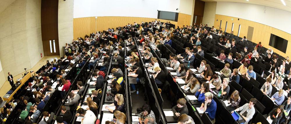 Im Fokus: Die Noten von Studierenden ohne Abi liegen nur um ein Zehntel unter denen der Kommilitonen mit Abi.
