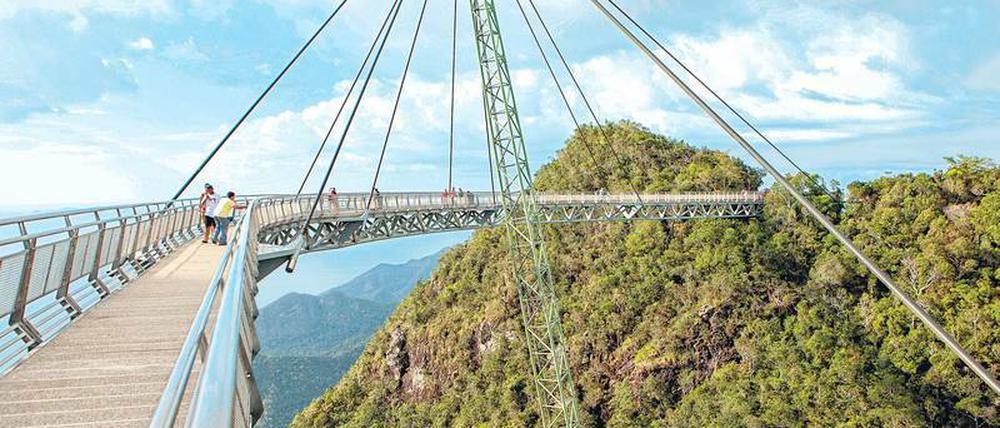 Gespannt auf den Urwald gucken - von der Skybridge aus.