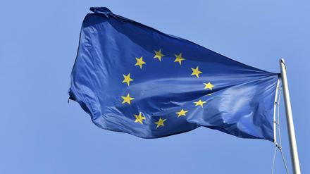 Europafahnre, im Wind flatternd.