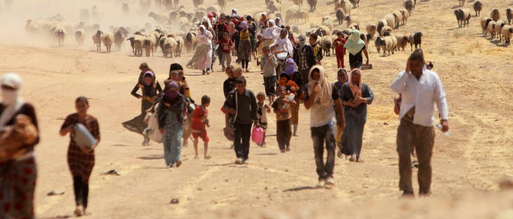 Jesiden fliehen im Jahr 2014 vor den Kämpfern der Terrormiliz "Islamischer Staat".