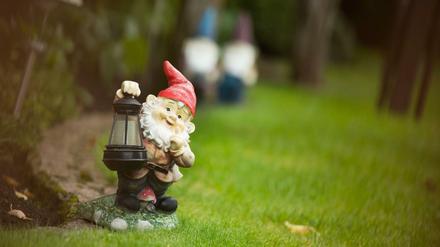 Gehört in den Datschen dazu: Der Gartenzwerg.