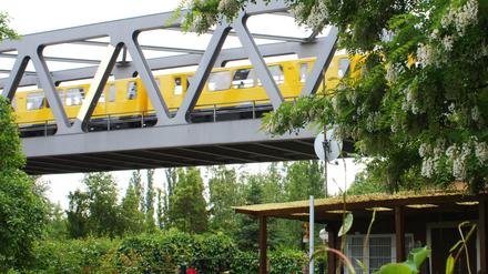 Die Kleingartenanlage "Am Gleisdreieck", verläuft direkt unter der Hochbahn der U1 und einer geplanten Parkanlage am Gleisdreieck.