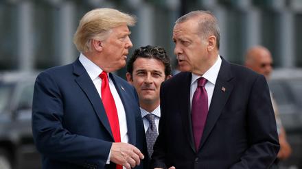 Die Türkei sei inzwischen wirtschaftlich ausreichend entwickelt, findet US-Präsident Trump - hier mit Amtskollege Erdogan.