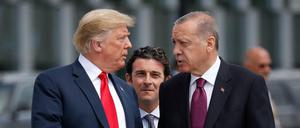 Die Türkei sei inzwischen wirtschaftlich ausreichend entwickelt, findet US-Präsident Trump - hier mit Amtskollege Erdogan.