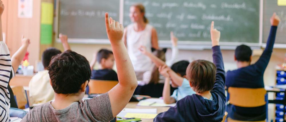 Besonders Grundschulen sind betroffen.