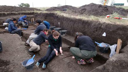 Jagd auf Riesenfaultiere können Forscher heute nur noch grabend in der Pampa Argentiniens machen, anders als die Steinzeitjäger vor 12.600 Jahren.