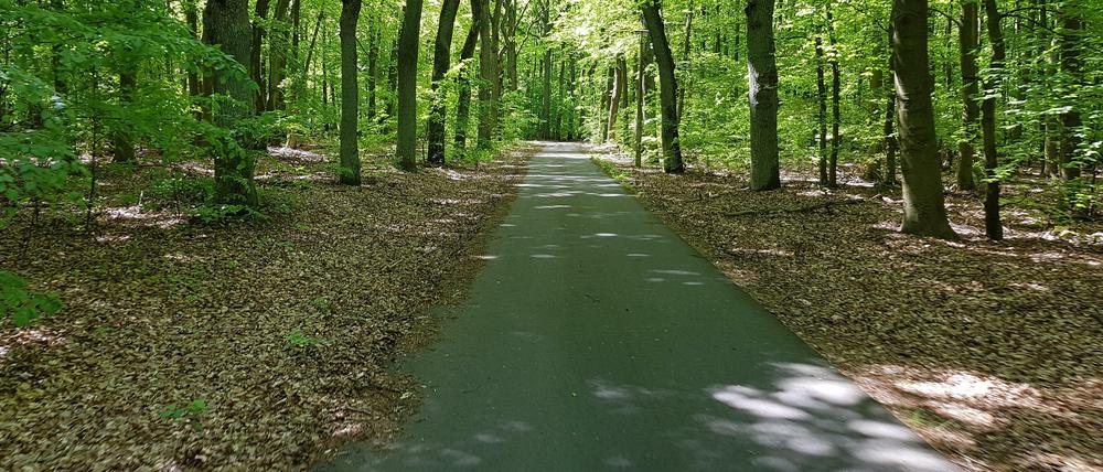 Der Spreeradweg zwischen Berkenbrück und Kersdorfer Schleuse