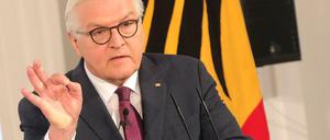 Bundespräsident Frank-Walter Steinmeier. 