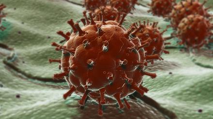 Zumindest in Mäusen ist es geglückt, tödliche Grippeinfektionen mit Hilfe eines neuen Wirkstoffs zu bekämpfen.