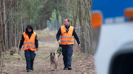 Die Suche geht weiter: Wie hier am Freitag, werden auch am Samstag wieder Polizisten nach der vermissten Rebecca Reusch suchen.
