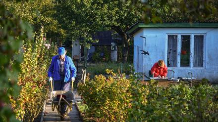 Grüne Idylle auf Zeit: Nach dem neuen Kleingarten-Entwicklungsplan sollen bis 2030 22,9 Hektar der Grünflächen bebaut werden.