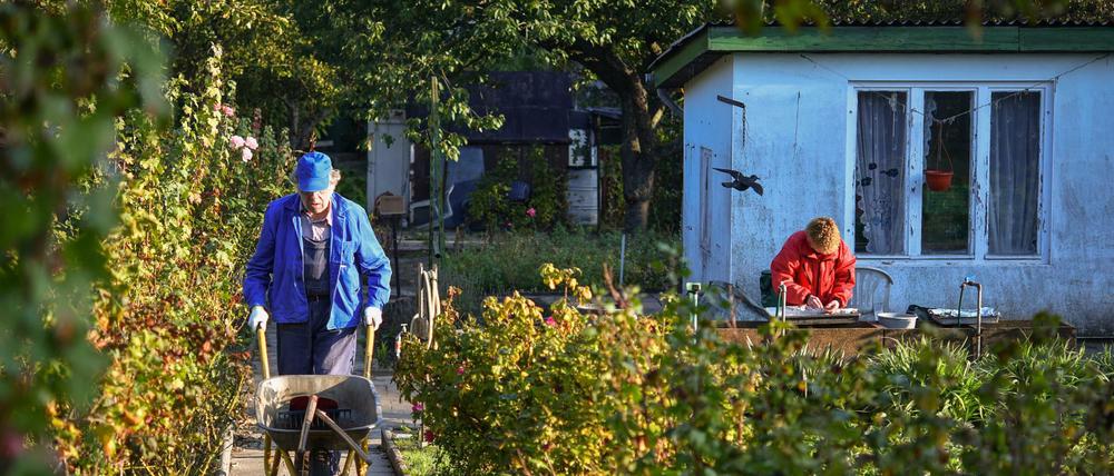 Grüne Idylle auf Zeit: Nach dem neuen Kleingarten-Entwicklungsplan sollen bis 2030 22,9 Hektar der Grünflächen bebaut werden.