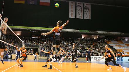 Die BR Volleys sind aktueller Deutscher Meister. In dieser Saison ist das Rennen um den Titel bislang völlig offen.
