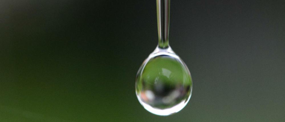 Wie Tropfen fallen, kennt jeder. Dass sie nach dem Aufschlagen zurückhüpfen und sich dabei sogar Pirouetten drehen können, zeigen Forscher jetzt in Videos - und wollen das Entdeckte für die Energiegewinnung nutzen. 