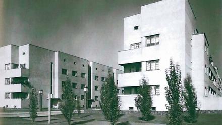 Von 1924 bis 1932 wurde in Etappen die Hermann-Beims-Siedlung in Magdeburg erbaut. Sie umfasst insgesamt 2000 Wohnungen.
