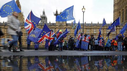Demonstranten vor dem britischen Parlament in London