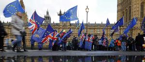 Demonstranten vor dem britischen Parlament in London