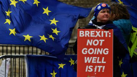Läuft? Eher nicht. Eine Teilnehmerin einer Anti-Brexit-Demonstration am Mittwoch in London.