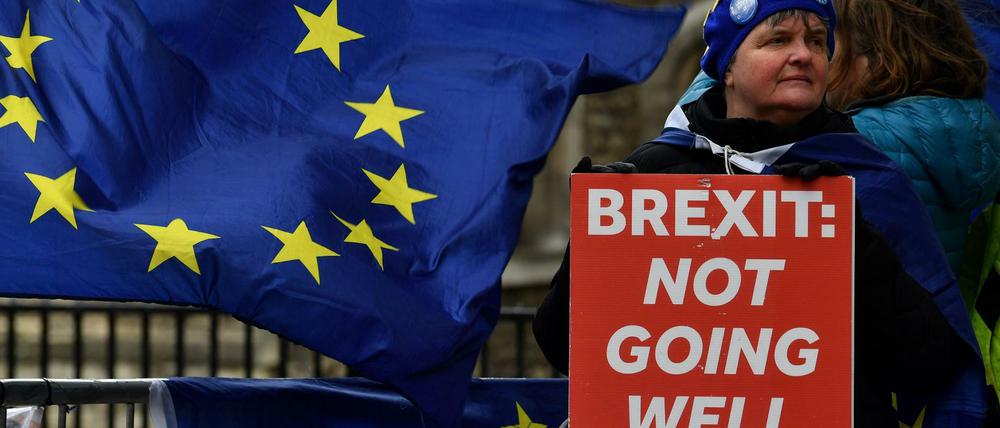 Läuft? Eher nicht. Eine Teilnehmerin einer Anti-Brexit-Demonstration am Mittwoch in London.