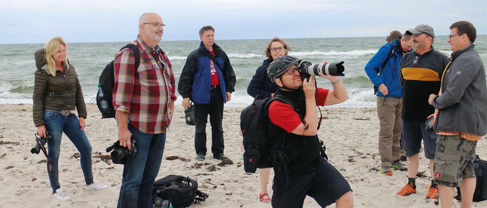 Die Entscheidung folgt dem Instinkt: Der Fotograf spürt einfach, wenn er das perfekte Bild vor Augen hat.