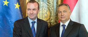 Viktor Orban mit EVP-Spitzenkandidat Manfred Weber (links) bei dessen Besuch in Budapest.