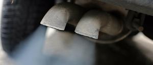 Als Hauptursache für Atemwegs- und Herzkreislauf-Erkrankungen machen Mainzer Forscher kleinste Feinstaubteilchen aus.