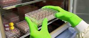 Freie Forschung. Eine "Schere im Kopf" kann bei Forscherinnen und Forschern schon dann entstehen, wenn der Mittelgeber Einflussmöglichkeiten hat - selbst wenn er sie gar nicht benutzt, sagt der Rechtswissenschaftler Klaus F. Gärditz.