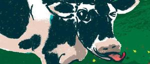 Hoch im Norden. Coverbild des Magazins "Pure Fruit" zum Thema Föderalismus.