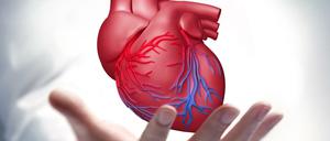 Chirurgen fordern, dass bereits an Schulen über Organspenden informiert wird. (Symbolbild)