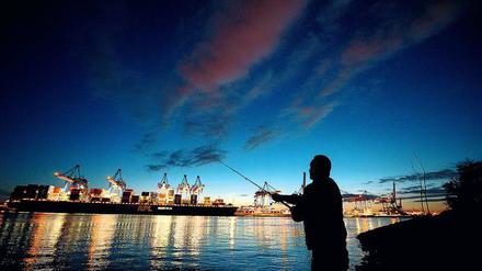 An der kürzeren Leine. Ein Mann wirft im Hamburger Hafen seine Angel aus. In der Hansestadt hat der Senat vergangene Woche ein Gesetz mit strengeren Regeln für Angler verabschiedet. Forscher fordern jetzt noch grundlegendere Änderungen. Die wären teilweise restriktiv, vor allem aber angepasst an die jeweilige Situation eines Gewässers. 