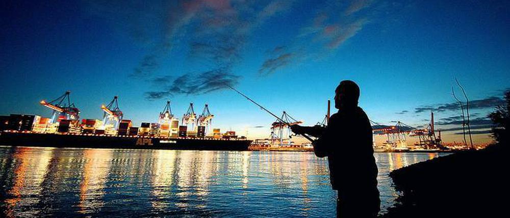 An der kürzeren Leine. Ein Mann wirft im Hamburger Hafen seine Angel aus. In der Hansestadt hat der Senat vergangene Woche ein Gesetz mit strengeren Regeln für Angler verabschiedet. Forscher fordern jetzt noch grundlegendere Änderungen. Die wären teilweise restriktiv, vor allem aber angepasst an die jeweilige Situation eines Gewässers. 