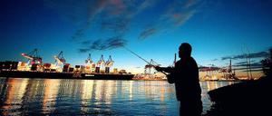 An der kürzeren Leine. Ein Mann wirft im Hamburger Hafen seine Angel aus. In der Hansestadt hat der Senat vergangene Woche ein Gesetz mit strengeren Regeln für Angler verabschiedet. Forscher fordern jetzt noch grundlegendere Änderungen. Die wären teilweise restriktiv, vor allem aber angepasst an die jeweilige Situation eines Gewässers. 