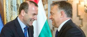 Ungarns Präsident Viktor Orban mit EVP-Fraktionschef Manfred Weber