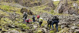 Während große Teile Irlands aus saftigem Weideland bestehen, wird es auf dem Gipfel des Carrantuohill felsig. 