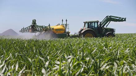 Ein Traktor mit Spruehanlage auf einem Maisfeld im Mansfelder Land (Sachsen-Anhalt) am 23.06.16. Die EU-Kommission will die Zulassung des umstrittenen Unkrautvernichtungsmittels Glyphosat um zunaechst anderthalb Jahre verlaengern. Bis dahin soll eine neue Studie der EU-Chemikalienagentur ECHA das Mittel erneut unter die Lupe nehmen, wie am Mittwochmorgen (29.06.16) aus EU-Kreisen in Bruessel verlautete. Am Mittag will die Kommission ihr Vorgehen ausfuehrlich begruenden, nachdem Gesundheitskommissar Vytenis Andriukaitis verschiedenen Medien zufolge bereits am Dienstag von der Verlaengerung gesprochen hatte. Es gehe um eine Verlaengerung und nicht um eine Erneuerung der Zulassung, wurde in EU-Kreisen betont. (Siehe epd-Bericht vom 29.06.2016)